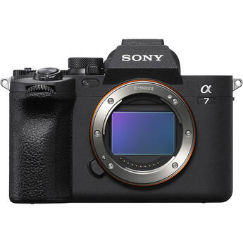 Mirrorless Cameras